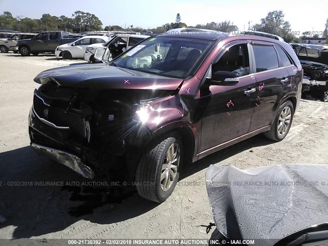 5XYKW4A29BG149616 - 2011 KIA SORENTO SX BURGUNDY photo 2