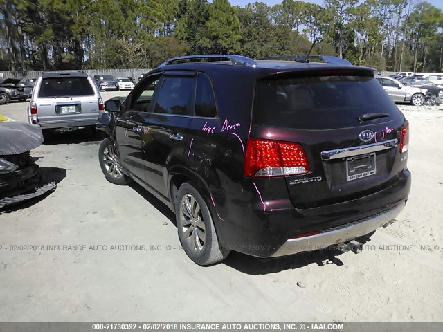 5XYKW4A29BG149616 - 2011 KIA SORENTO SX BURGUNDY photo 3