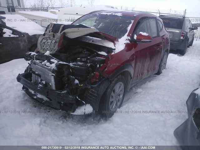 KM8J3CA48HU529968 - 2017 HYUNDAI TUCSON LIMITED/SPORT AND ECO/SE ORANGE photo 2