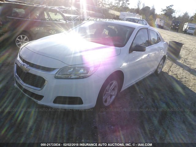 1G11B5SL9EF114689 - 2014 CHEVROLET MALIBU LS 白色 照片 2