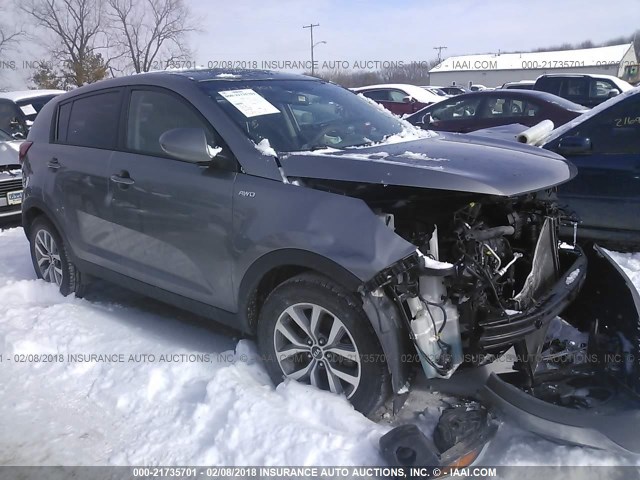 KNDPBCAC3G7823137 - 2016 KIA SPORTAGE LX SILVER photo 1