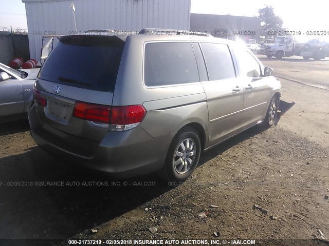 5FNRL3H64AB108634 - 2010 HONDA ODYSSEY EXL ოქროსფერი ფოტო 4