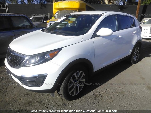 KNDPB3AC8G7879106 - 2016 KIA SPORTAGE LX WHITE photo 2