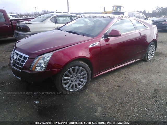 1G6DA1E34D0117659 - 2013 CADILLAC CTS RED photo 2