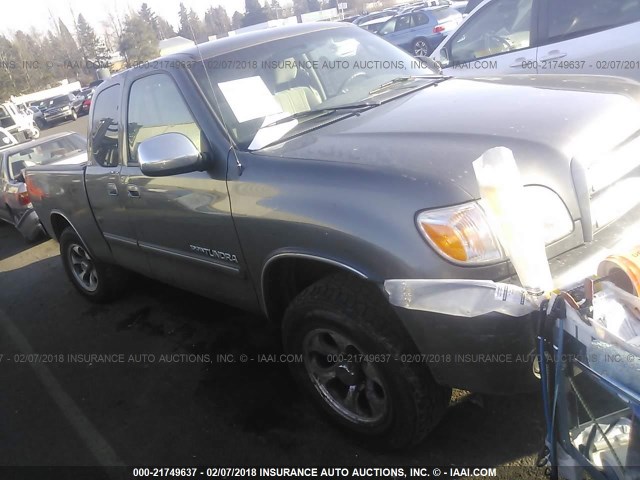 5TBRU34146S480333 - 2006 TOYOTA TUNDRA ACCESS CAB SR5 GRAY photo 1