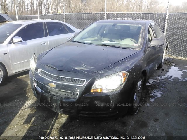 1G1ZB5E06CF353974 - 2012 CHEVROLET MALIBU LS ლურჯი ფოტო 2