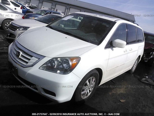 5FNRL3H63AB093818 - 2010 HONDA ODYSSEY EXL WHITE photo 2