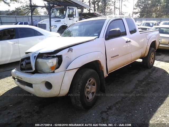 5TEUX42N68Z565717 - 2008 TOYOTA TACOMA ACCESS CAB Սպիտակ լուսանկար 2