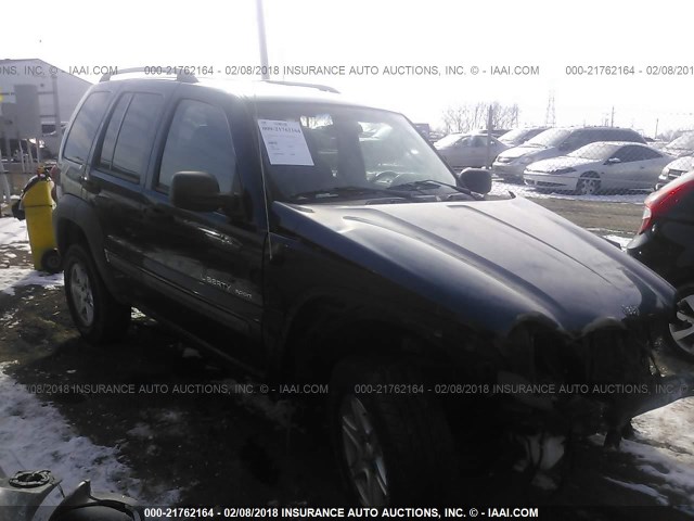 1J4GL48KX2W166345 - 2002 JEEP LIBERTY SPORT Mavi foto 1