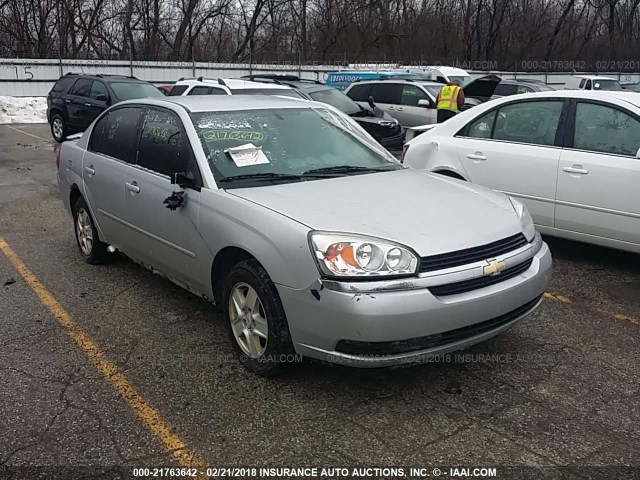 1G1ZT54855F296612 - 2005 CHEVROLET MALIBU LS ვერცხლისფერი ფოტო 1