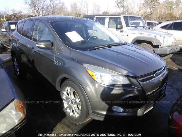 1FMCU9HXXDUA59753 - 2013 FORD ESCAPE SEL GRAY photo 1