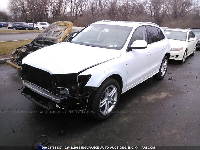 WA1DGAFP8DA073067 - 2013 AUDI Q5 PREMIUM PLUS WHITE photo 2