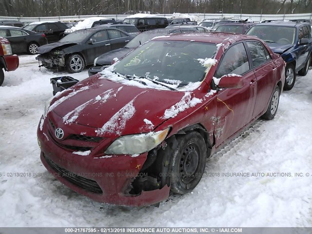 2T1BU4EE1BC583695 - 2011 TOYOTA COROLLA S/LE RED photo 2