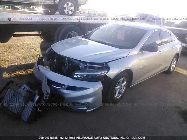 1G1ZB5ST5GF173261 - 2016 CHEVROLET MALIBU LS 银色 照片 2