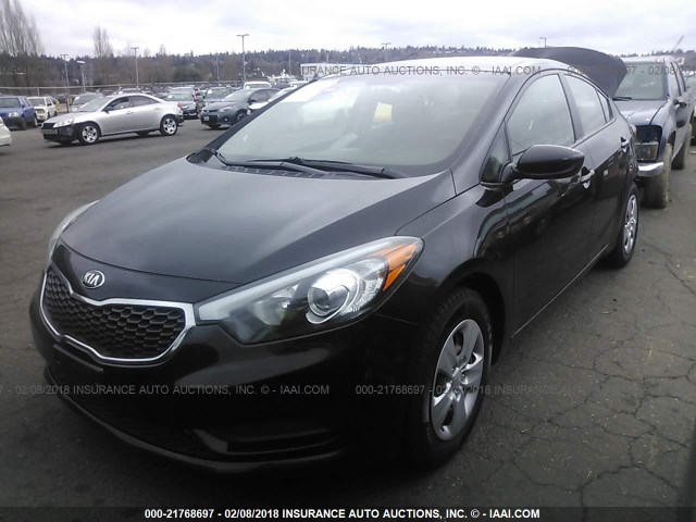 KNAFK4A64F5289813 - 2015 KIA FORTE LX BLACK photo 2