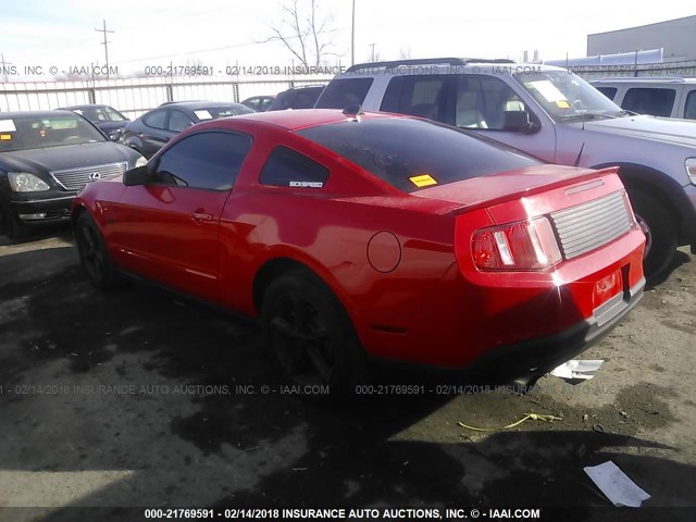 1ZVBP8CH6A5154508 - 2010 FORD MUSTANG GT RED photo 3
