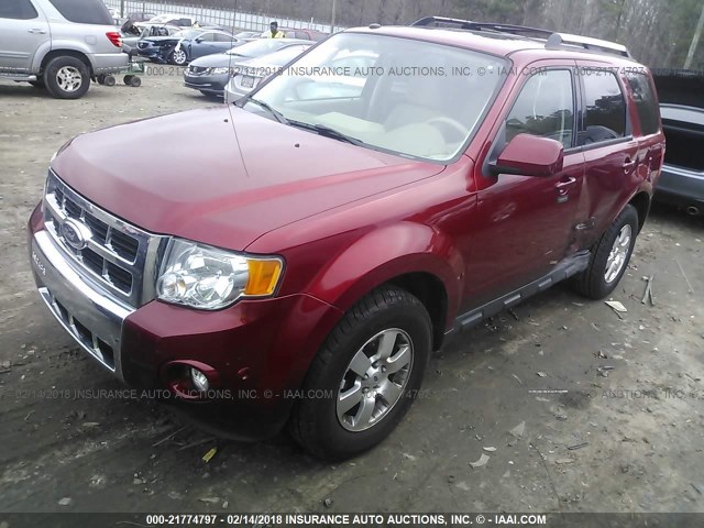 1FMCU0EG1CKB38500 - 2012 FORD ESCAPE LIMITED RED photo 2