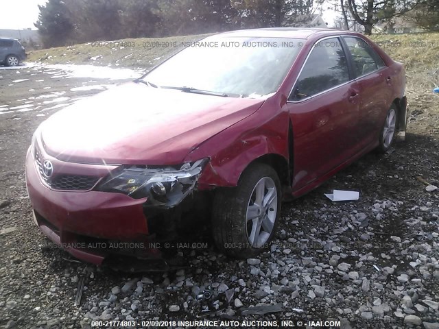 4T1BF1FKXCU591811 - 2012 TOYOTA CAMRY SE/LE/XLE RED photo 2