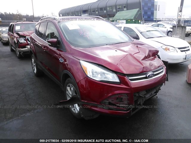 1FMCU9JX3EUB99915 - 2014 FORD ESCAPE TITANIUM RED photo 1