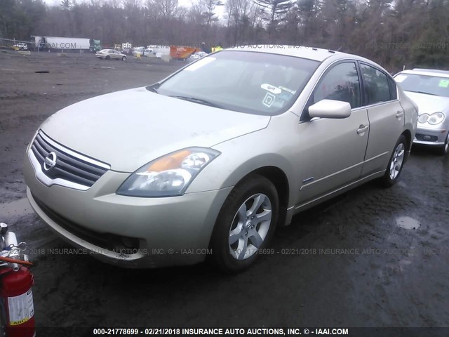 1N4CL21E09C122823 - 2009 NISSAN ALTIMA HYBRID TAN photo 2