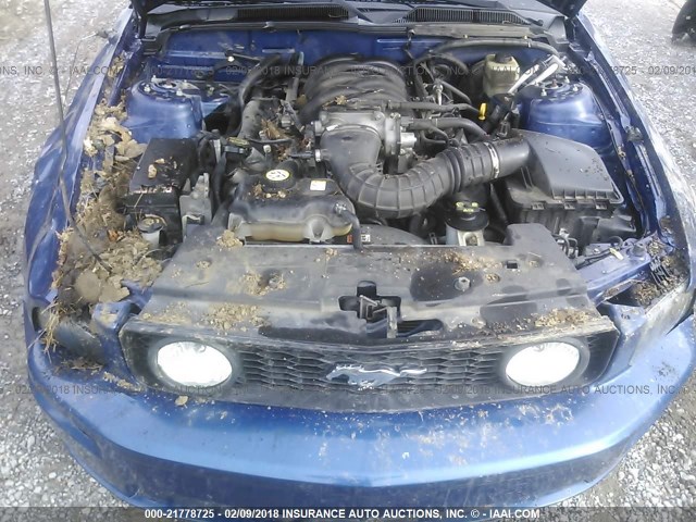 1ZVHT82H165254384 - 2006 FORD MUSTANG GT BLUE photo 10