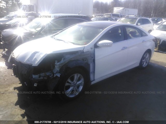 5NPEC4AC4CH310558 - 2012 HYUNDAI SONATA SE/LIMITED WHITE photo 2