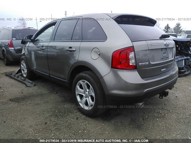 2FMDK3JC0EBB24180 - 2014 FORD EDGE SEL Champagne photo 3