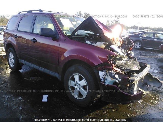 1FMCU0D73CKB56871 - 2012 FORD ESCAPE XLT MAROON photo 1