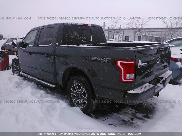 1FTEW1EP5GFA10126 - 2016 FORD F150 SUPERCREW GRAY photo 3