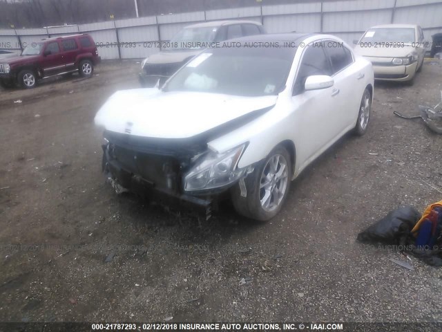 1N4AA5AP5EC486262 - 2014 NISSAN MAXIMA S/SV WHITE photo 2