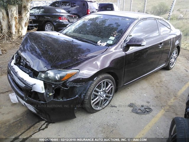 JTKDE167890288417 - 2009 TOYOTA SCION TC PURPLE photo 2