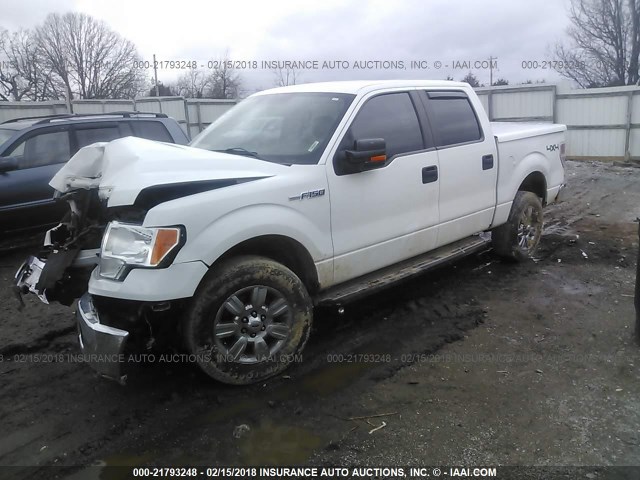 1FTFW1EVXAKB25595 - 2010 FORD F150 SUPERCREW WHITE photo 2