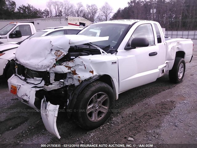 1D7RE3BP2AS233555 - 2010 DODGE DAKOTA SXT WHITE photo 2