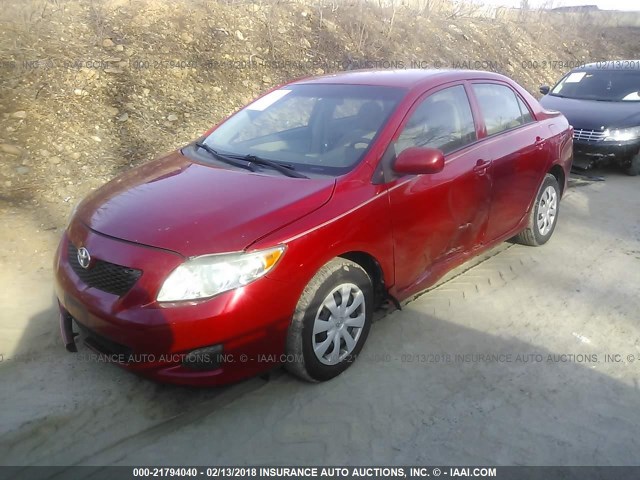 2T1BU40E69C113387 - 2009 TOYOTA COROLLA S/LE/XLE RED photo 2