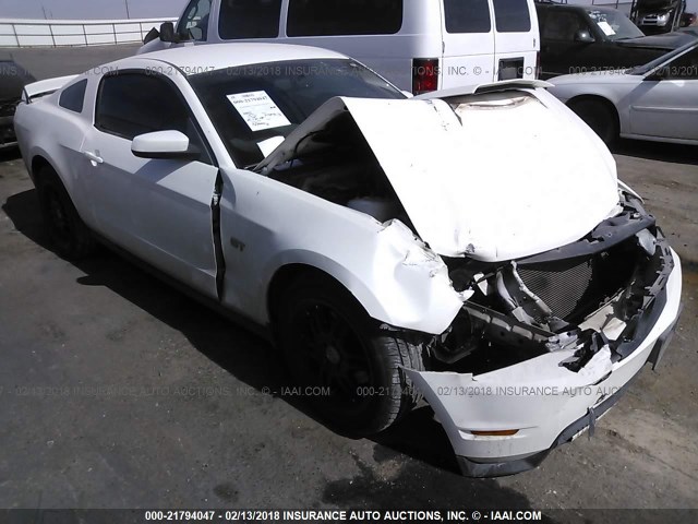 1ZVBP8CH5A5149347 - 2010 FORD MUSTANG GT WHITE photo 1