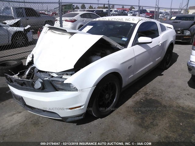 1ZVBP8CH5A5149347 - 2010 FORD MUSTANG GT WHITE photo 2