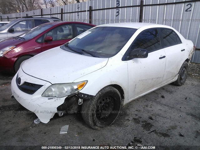 2T1BU4EE8BC632259 - 2011 TOYOTA COROLLA S/LE WHITE photo 2