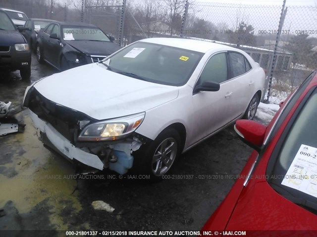 1G11B5SA1DF341064 - 2013 CHEVROLET MALIBU LS 白色 照片 2