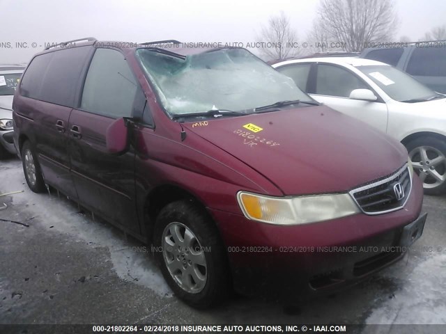 5FNRL18933B023611 - 2003 HONDA ODYSSEY EXL მუქწითელი ფოტო 1