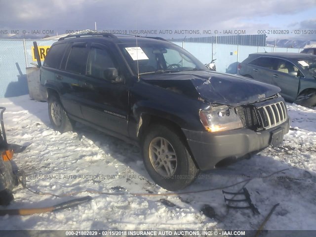 1J4GW48S94C117987 - 2004 JEEP GRAND CHEROKEE LAREDO/COLUMBIA/FREEDOM 蓝色 照片 1