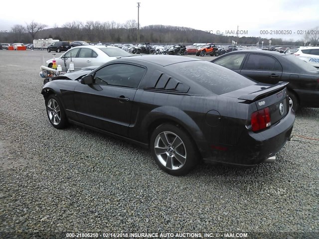 1ZVHT82H985118409 - 2008 FORD MUSTANG GT GRAY photo 3