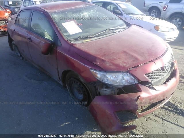 1NXBU40E19Z055168 - 2009 TOYOTA COROLLA S/LE/XLE MAROON photo 1