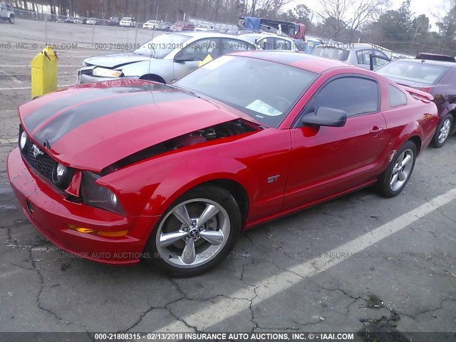 1ZVFT82HX65225036 - 2006 FORD MUSTANG GT RED photo 2