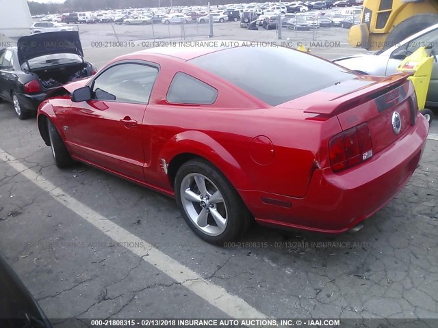 1ZVFT82HX65225036 - 2006 FORD MUSTANG GT RED photo 3