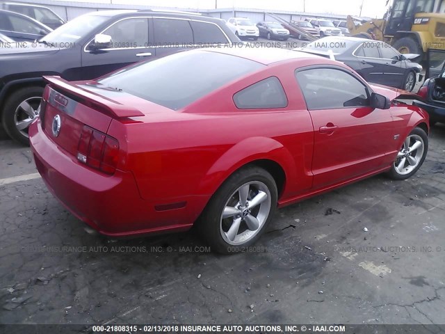 1ZVFT82HX65225036 - 2006 FORD MUSTANG GT RED photo 4