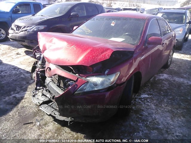 4T1BB46KX8U059625 - 2008 TOYOTA CAMRY HYBRID RED photo 2