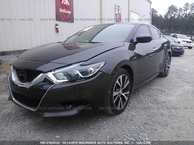 1N4AA6AP8GC395141 - 2016 NISSAN MAXIMA 3.5S/SV/SL/SR/PLAT Dark Brown photo 2