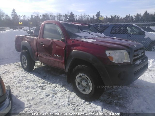 5TEPX42N49Z654670 - 2009 TOYOTA TACOMA RED photo 1