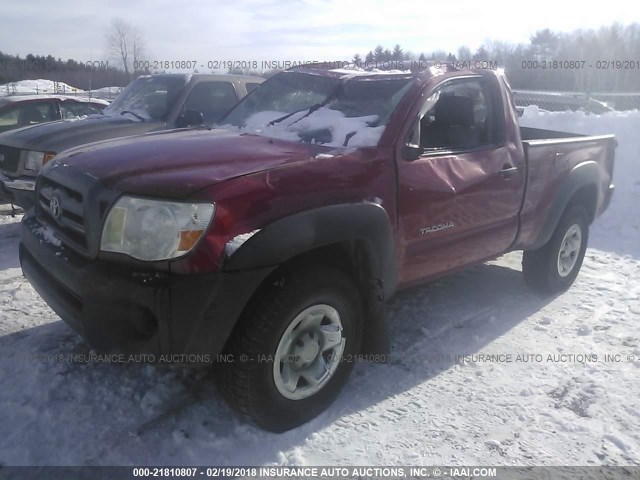 5TEPX42N49Z654670 - 2009 TOYOTA TACOMA RED photo 2