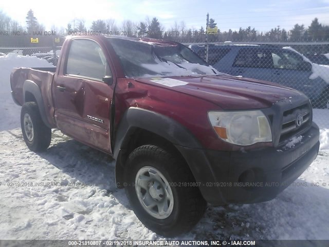 5TEPX42N49Z654670 - 2009 TOYOTA TACOMA RED photo 6